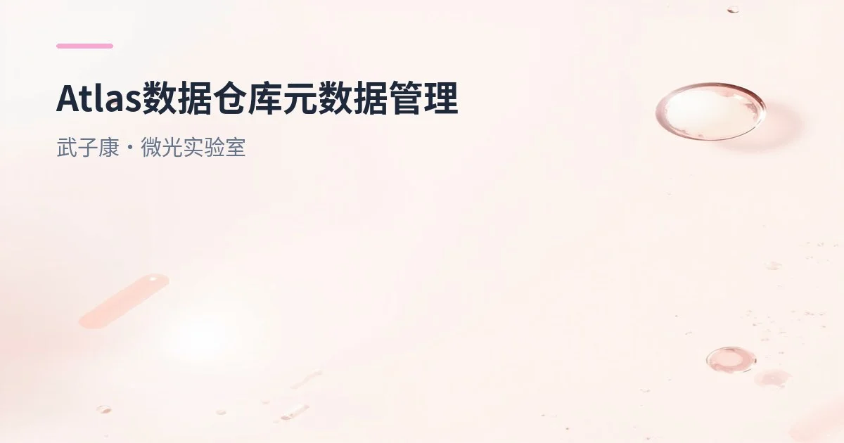 大数据-255 离线数仓 - Atlas 数据仓库元数据管理 数据血缘关系 元数据